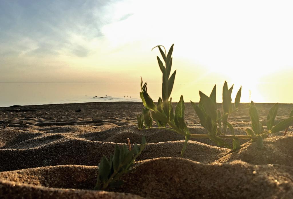 Krauklis Beach Apartments Саулкрасты Экстерьер фото